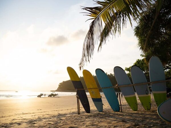 Best Surfboard for Beginners: Why Longer Surfboards Help