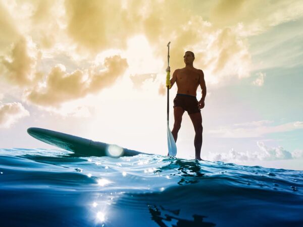 Wildlife Encounters While Paddleboarding in Maui – What You Might See!